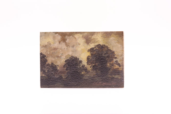 Moody Landscape (0539)