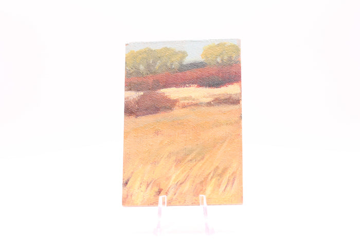 Salt Trail Grasslands #2 (0239)
