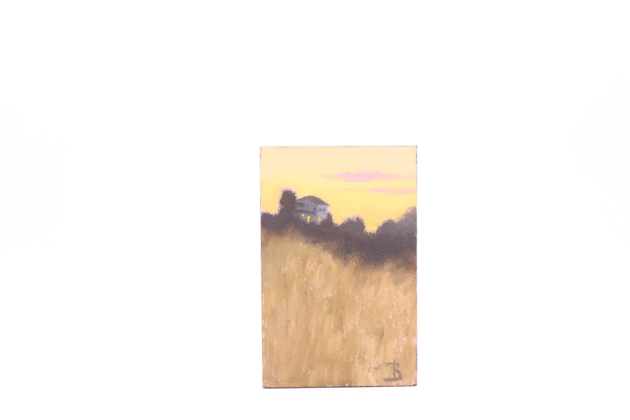 Heading Home (0099)