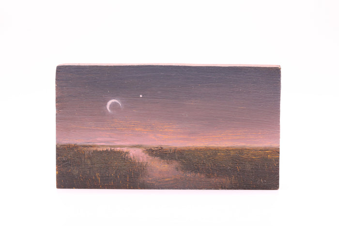 Moon with Her Star (0347)