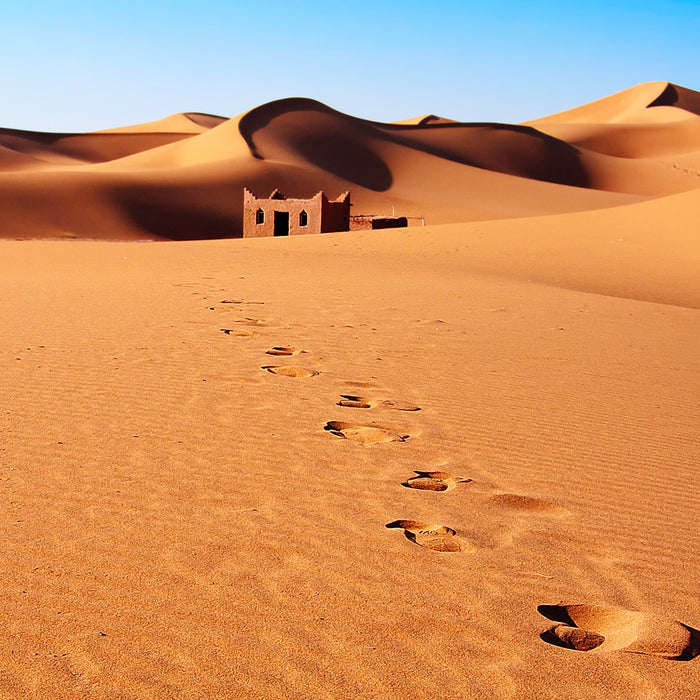 Sands of Morocco Essential Oil and Fragrance Blend 174