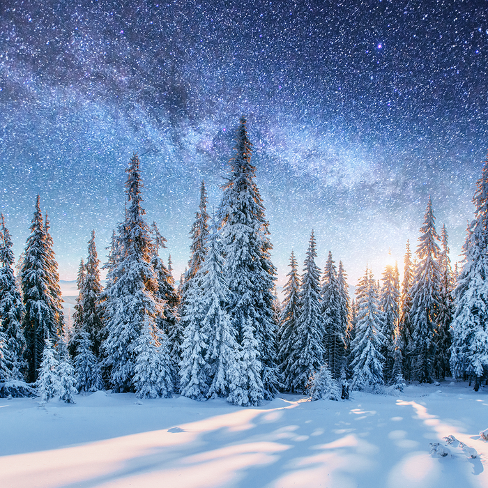 Sparkling Winter Solstice Fragrance Oil 1030
