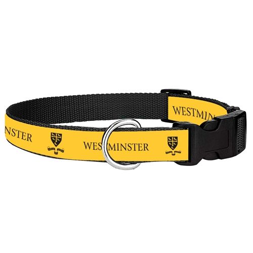 Westminster Wide Dog Collar