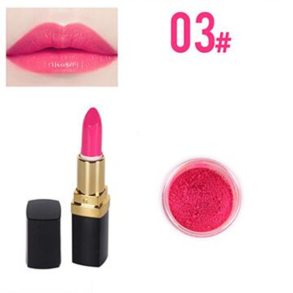 1 Pc Lipstick Powder DIY Handmade Lipstick Material Makeup Tools  Accessories
