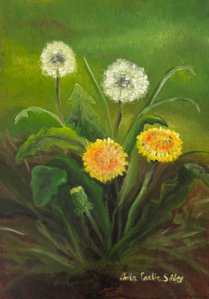 Anita Eralie Schley, Dandelions