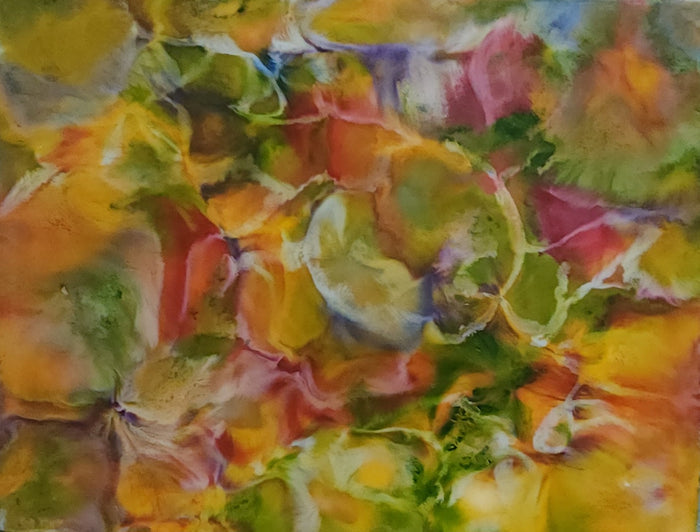 Ann Broni Petersen, Color Burst