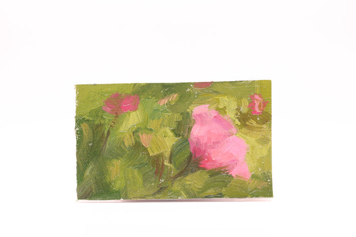 Pink Flower Field (0218)