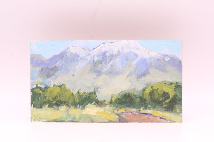 Timpanogos (0898)