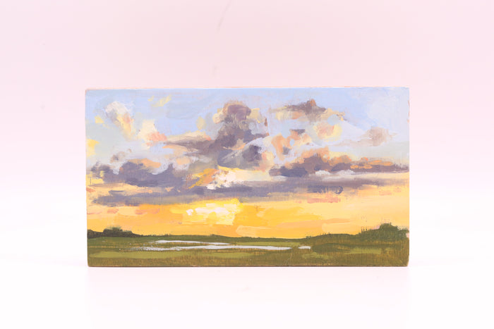 Marsh at Sunset (0798)
