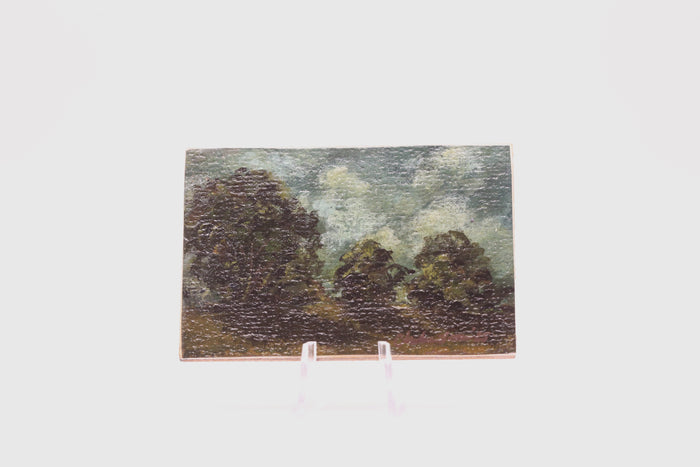 Stormy Landscape (0538)