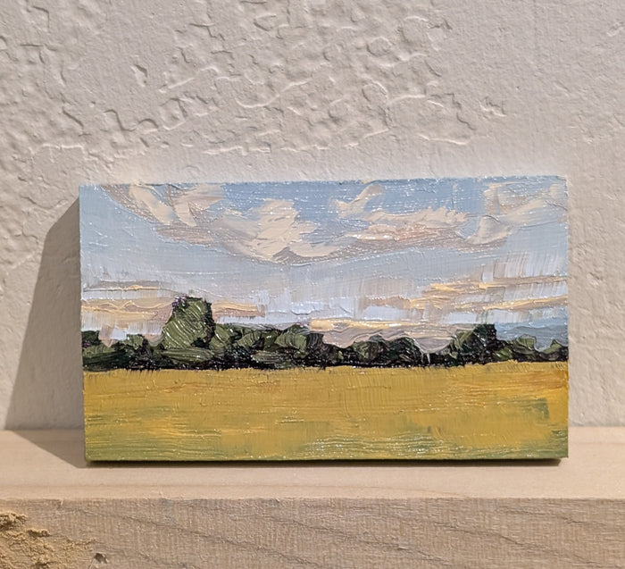 Artwork by Denise Miller