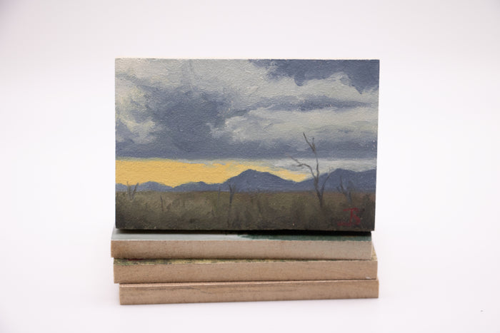 Desert Storm 2 (0611)