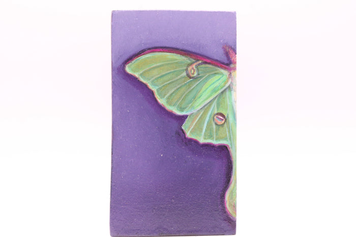 Artwork by Melissa Passanante Misurelli