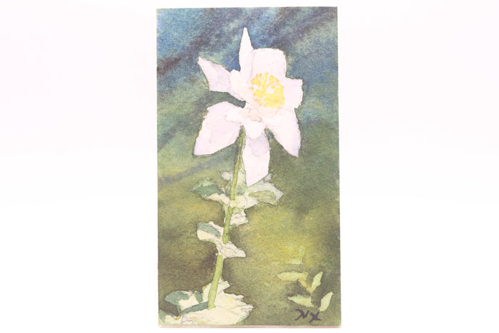 Columbine in the Wasatch (0497)