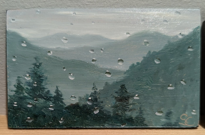 Rainy Mountain View (0199)