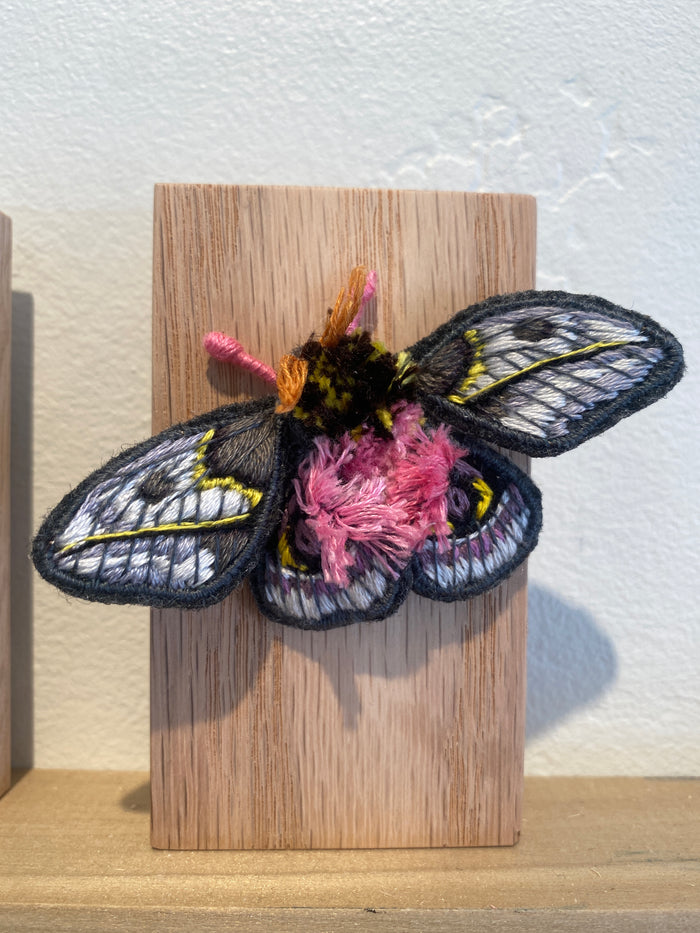 Artwork by Stephanie Kelly Clark