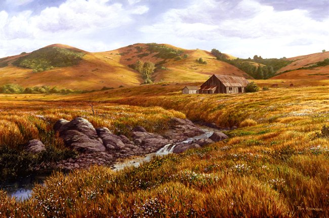 Bodega Creek