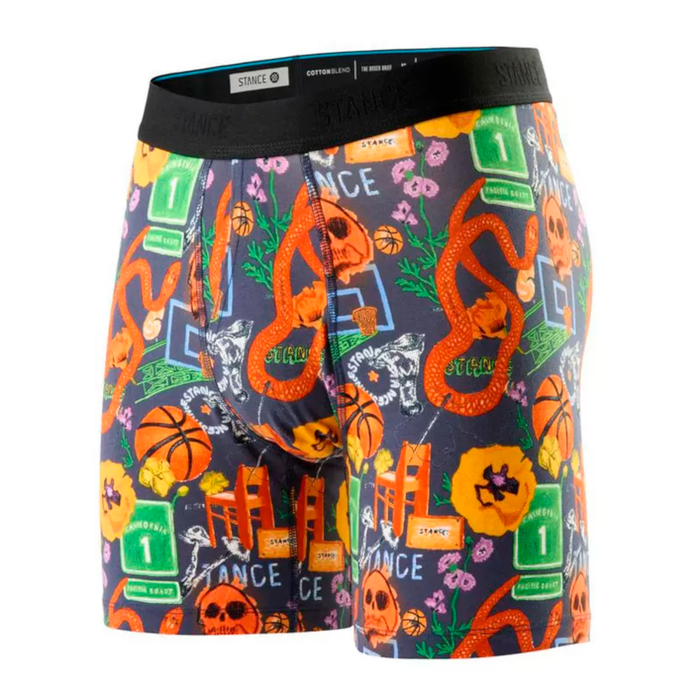 Boxer Men Stance Ode To Cali Brief Multi