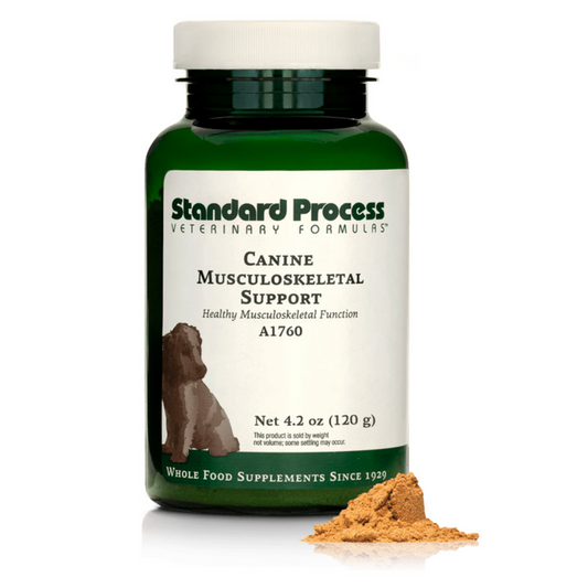 Canine Musculoskeletal Support (120 g) by Standard Process Veterinary Formulas