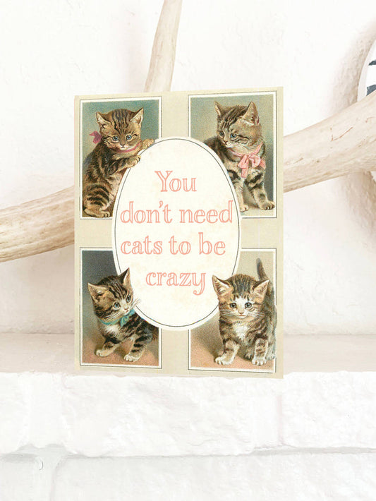 Funny Crazy Cats birthday card by The Coin Laundry featuring humorous cat illustrations for friendship and love occasions.