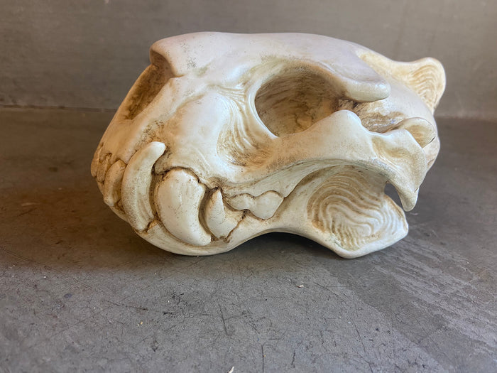 CUSTOM LISTING- WHITE SKULL LIGHT