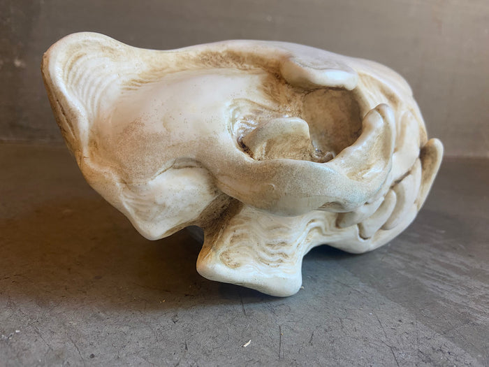 CUSTOM LISTING- WHITE SKULL LIGHT