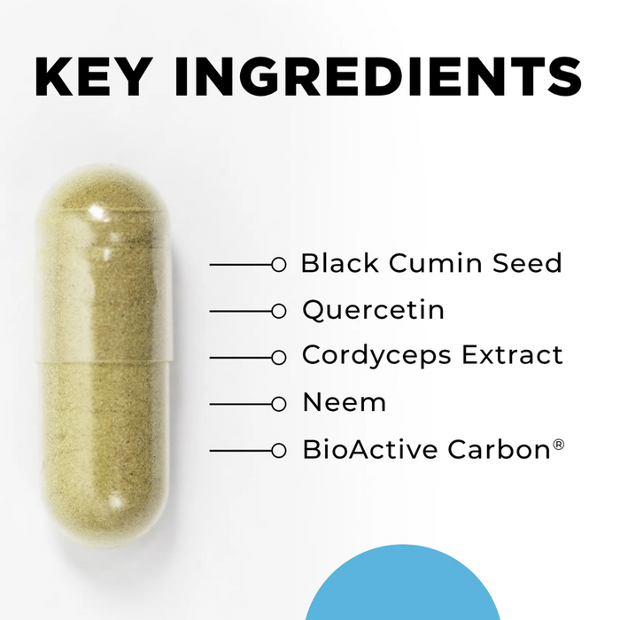 CytoImmune by CellCore Biosciences