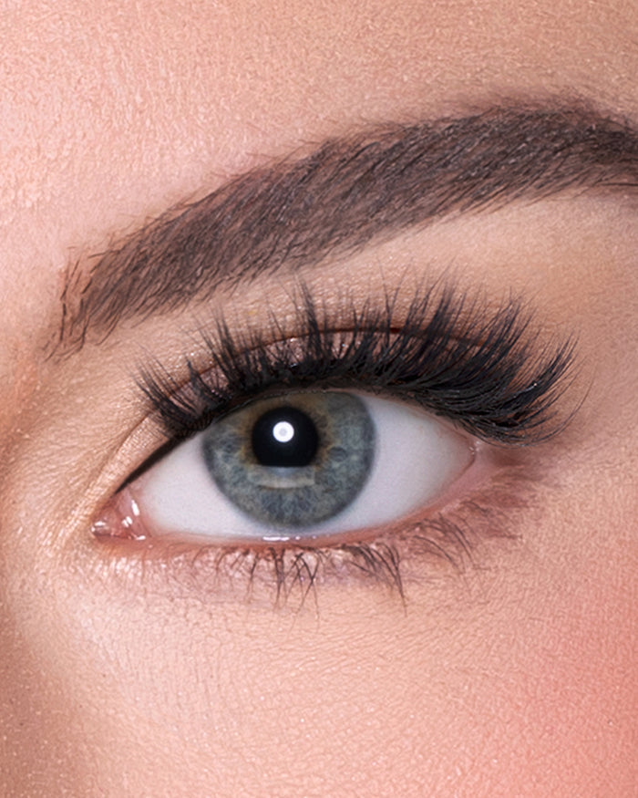 Lilly Lashes | Everyday | Miami | Eye Crop