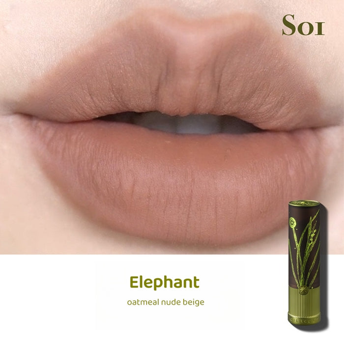 S01 Elephant