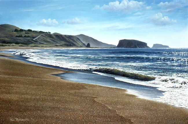 Goat Rock Beach