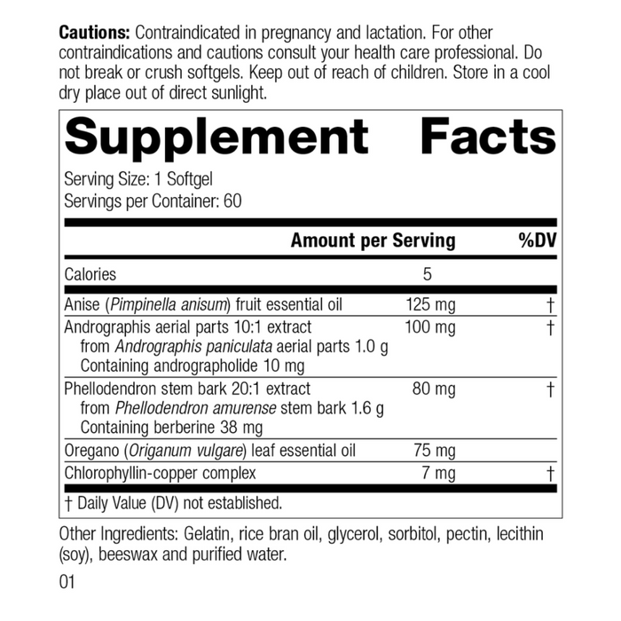 Gut Flora Complex by Standard Process
