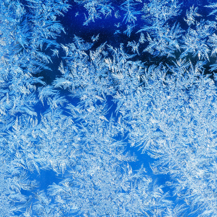Jack Frost Essential Oil and Fragrance Blend 317