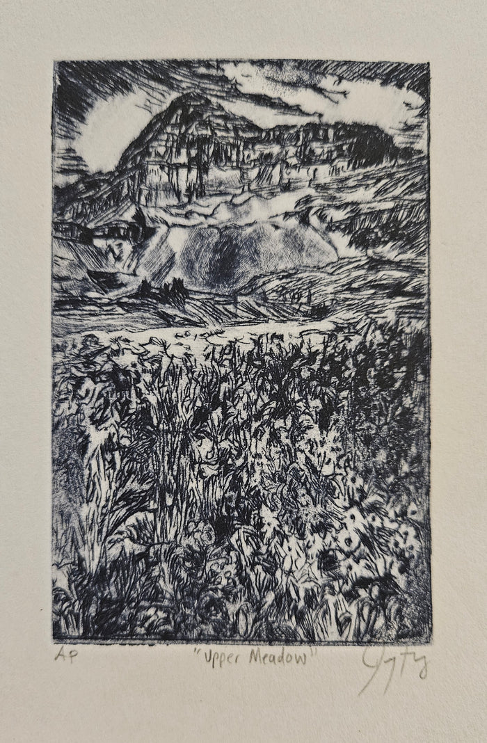 Jennifer Farley, Upper Meadow