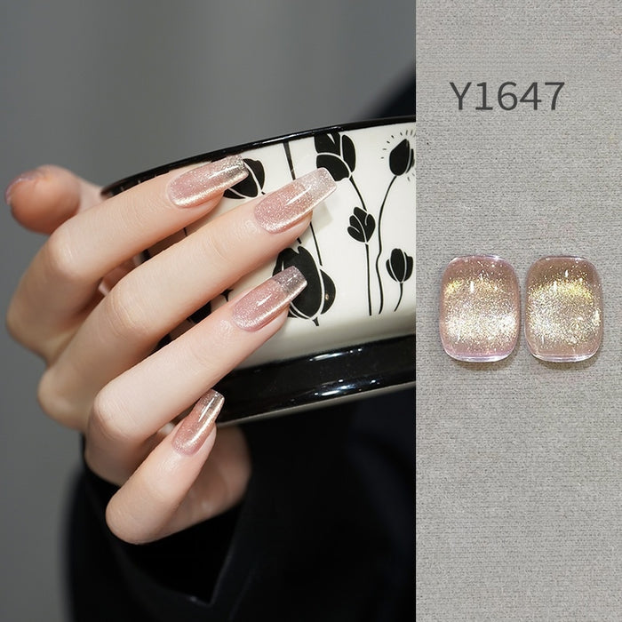 Y1647