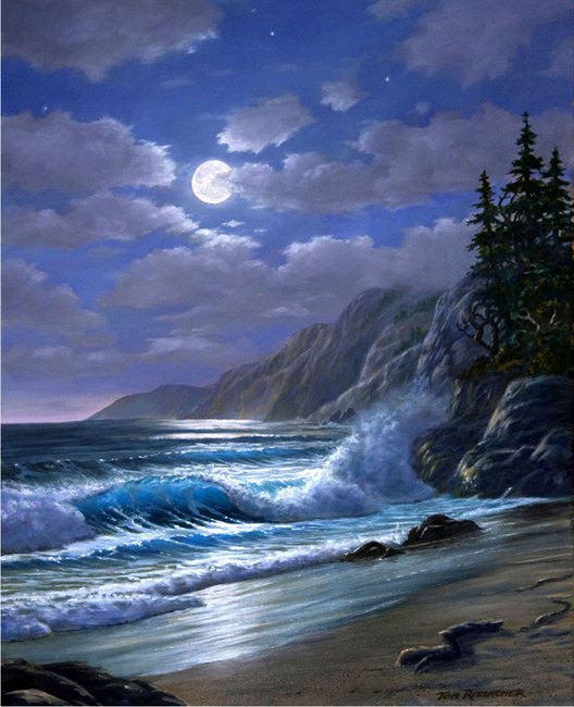 Mendocino Moonlight