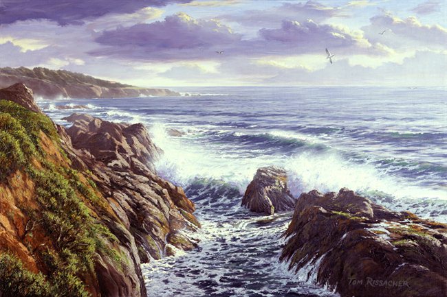 Mendocino Surf