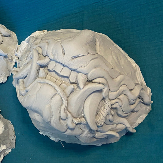 MISCAST DISCOUNTED SNARL BLANK MASKS