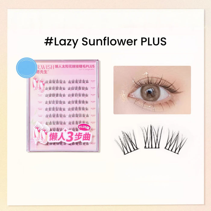 #Lazy Sunflower PLUS