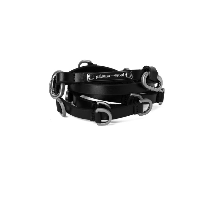 Black leather dog collar with silver hardware on a white background