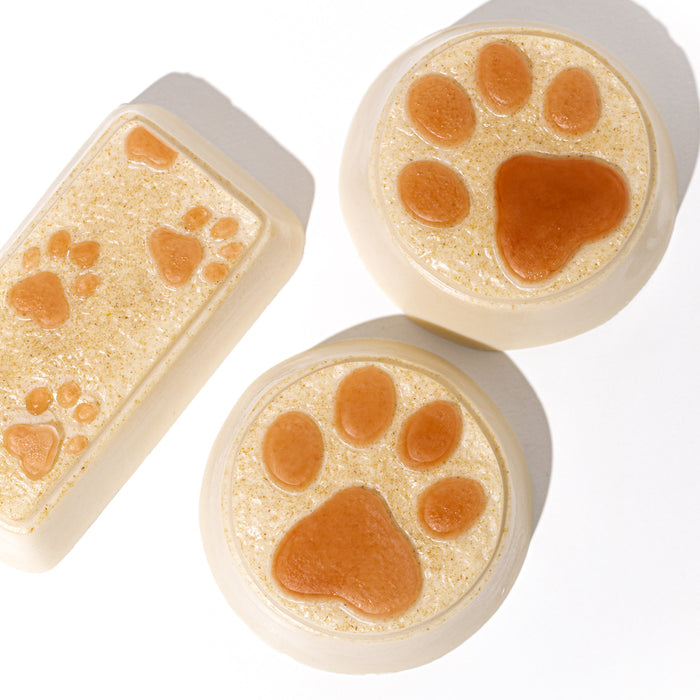 Pet Paws Soap Making Kit