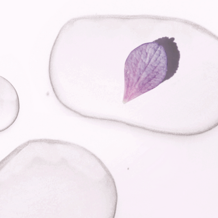 A bottle of LONDONTOWN Prep & Remove Lacquer Remover is displayed, featuring sleek branding and a clean design on a light background.