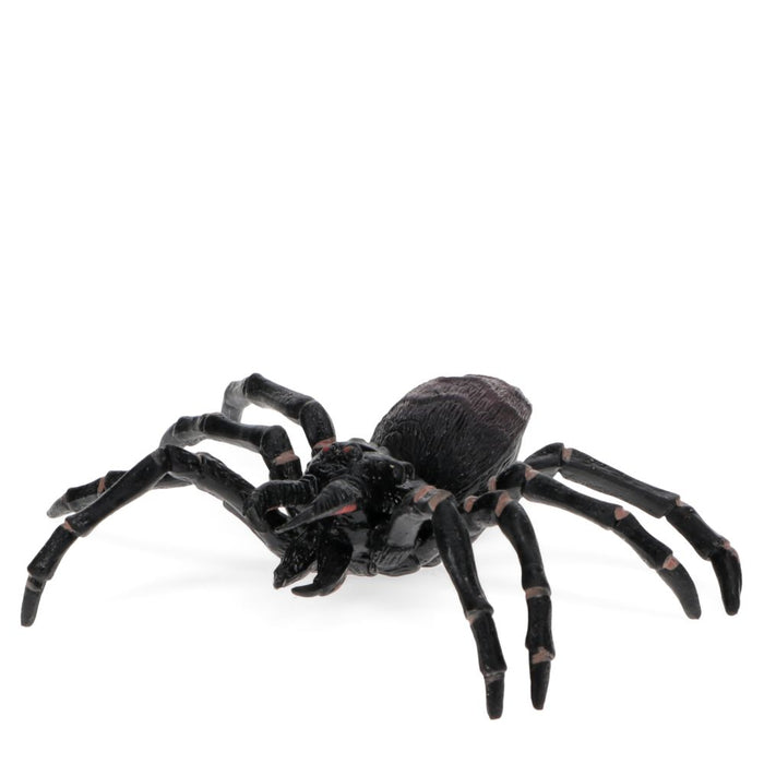 Realistic Tarantula