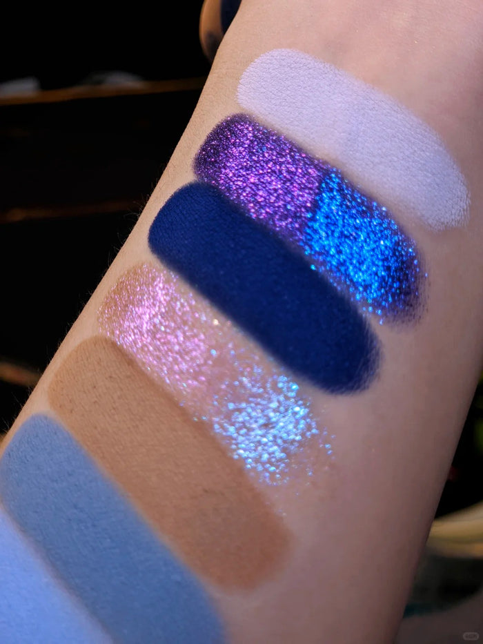 ROINGNEAO Blues Symphony Smoky Eyeshadow Palette T5749