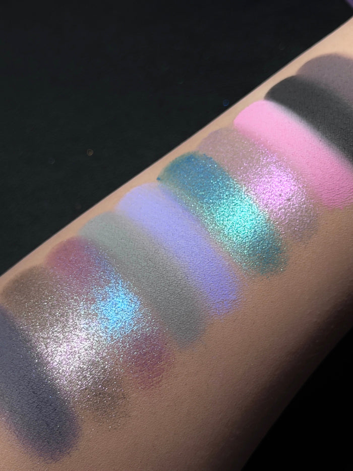 ROINGNEAO Dream Swallow Ballet Smoky Eyeshadow Palette T5934