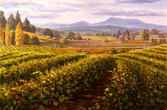 September Vineyards