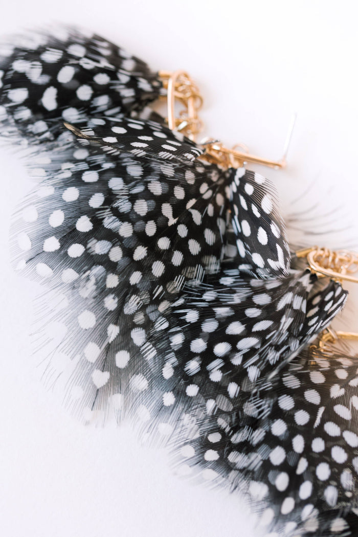 Spotted feather earrings by St Armands Designs of Sarasota, elegant gold-tone earrings with black and white feather details.