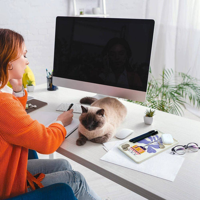 Fred & Friends Super Useful Tray featuring a playful Lee Cat design, made of durable material for everyday use.