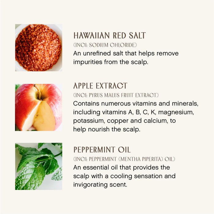 Innersense-True Enlightenment Scalp Scrub-Hair-TrueEnlightenmentScalpScrub-Ingredients-The Detox Market |