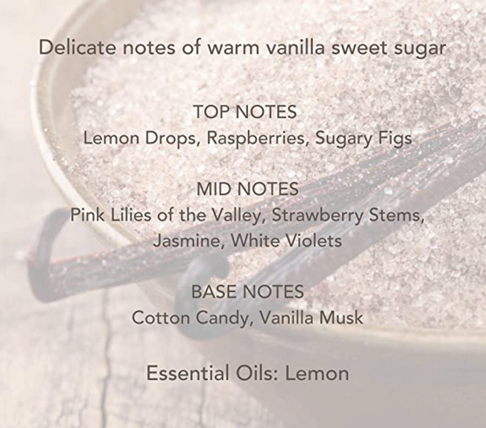 Warm Vanilla Classic Wax Melts