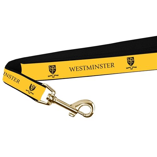 Westminster Wide Dog Leash